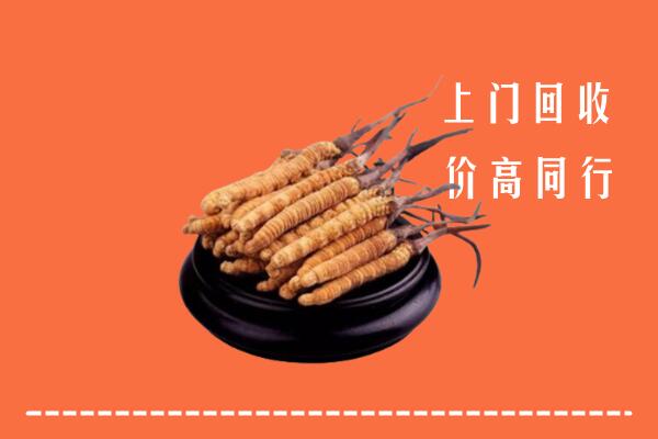 高价求购：重庆云阳回收散虫草