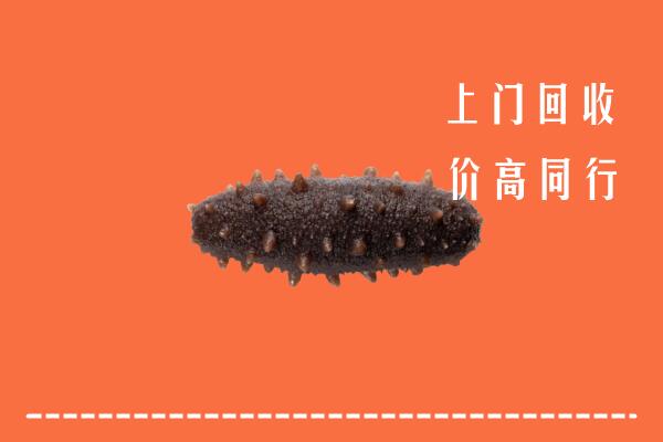 高价求购：重庆云阳回收海参