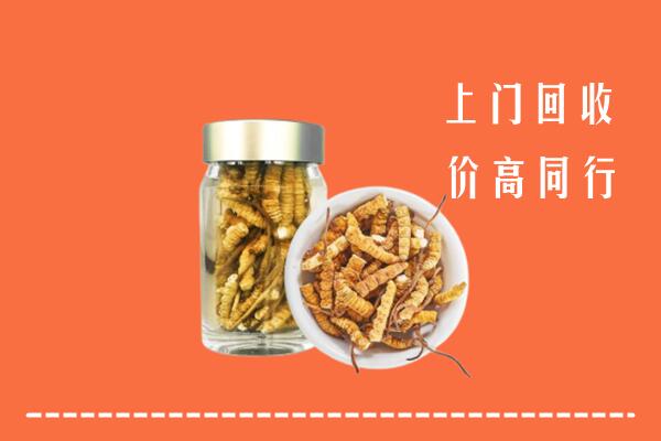 重庆云阳回收冬虫夏草