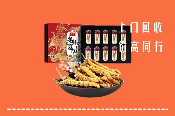 重庆云阳回收虫草